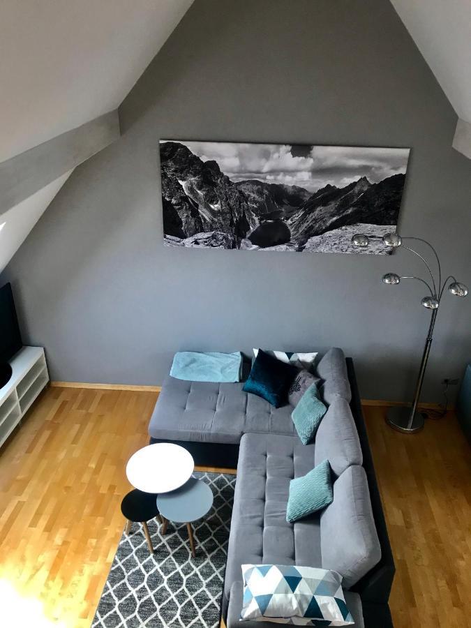 זקופאנה Apartament Irys מראה חיצוני תמונה
